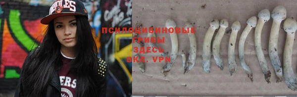 прущие грибы Ростов