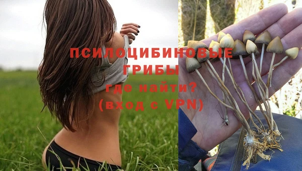 мет Абинск