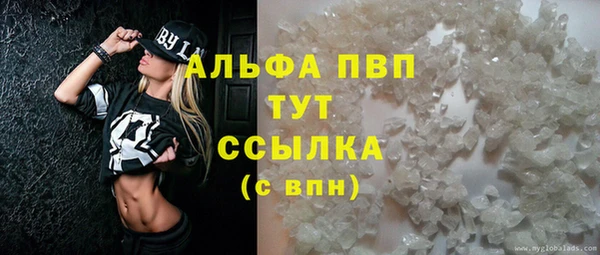 прущие грибы Ростов