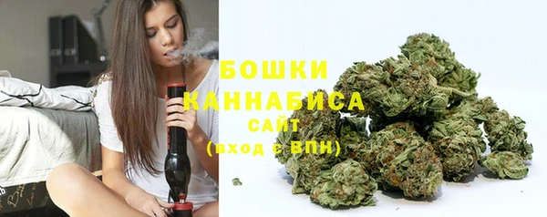 прущие грибы Ростов