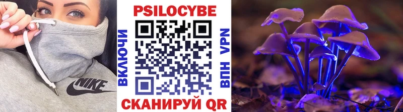 Псилоцибиновые грибы прущие грибы  Моршанск 