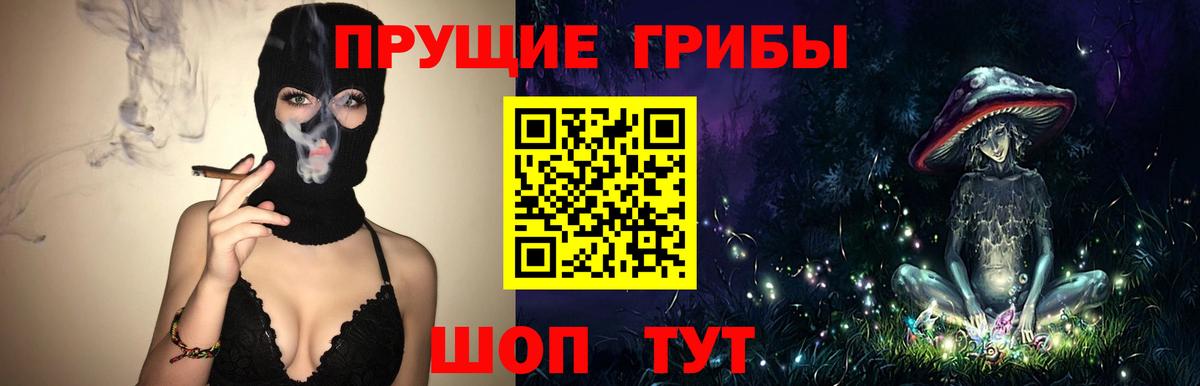 Псилоцибиновые грибы Psilocybine cubensis Моршанск